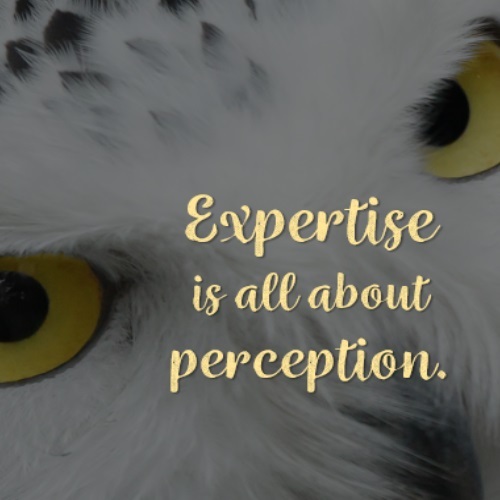 Expertise is all about perception