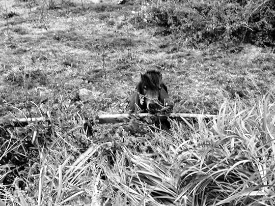 A poem and photograph from my latest book, Ireland, Place out of Time (2017). Order your copy here.