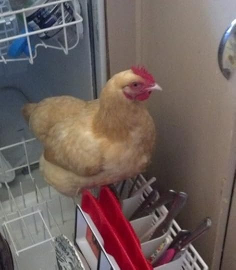  photo 1dee5cec-a019-46ad-bd40-7dd148182870_zpsmlesvzoi.jpg