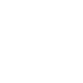Google+