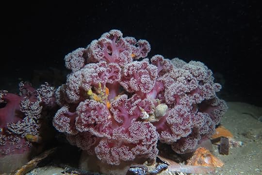 Pipeline night -_0457 cmp5