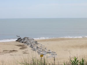 Cape Henlopen Beach
