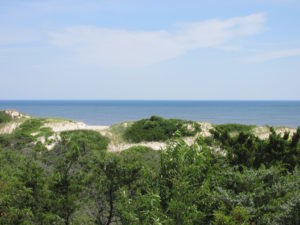 Cape Henlopen Dunes