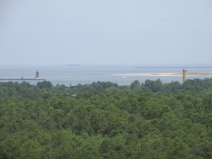 Cape Henlopen State Park