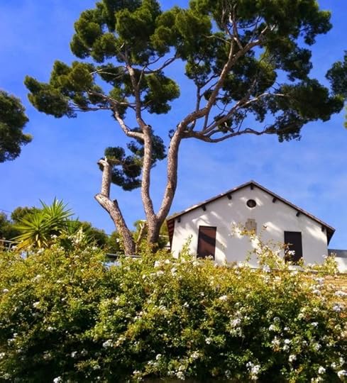 House in cassis