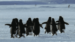 Screen Shot 2015-02-09 at 9.05.51 AM