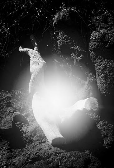 Nicholas Muellner, Untitled, from In Most Tides an Island, 2017 Courtesy the artist 