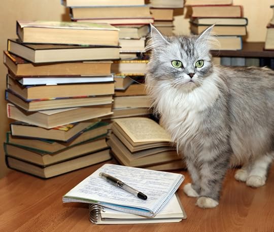 Photo by sansara/iStock / Getty Images