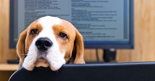 work from home dog
