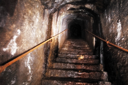 Cellar