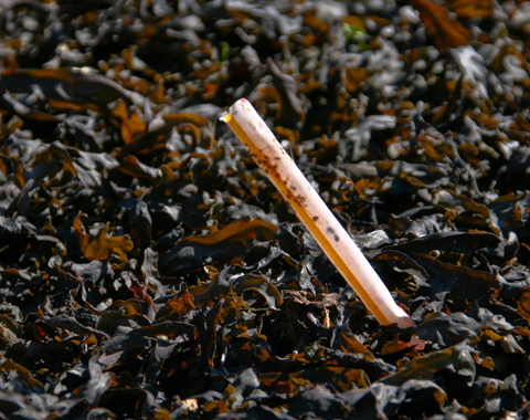 Photo: Plastic straws suck