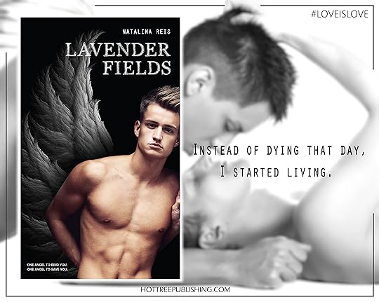 Lavender Fields Teaser