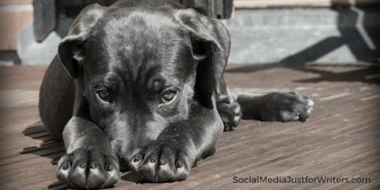 Indie Author Weekly Update