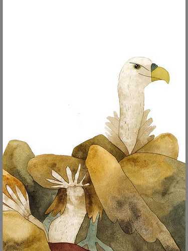 Matt Sewell vultures