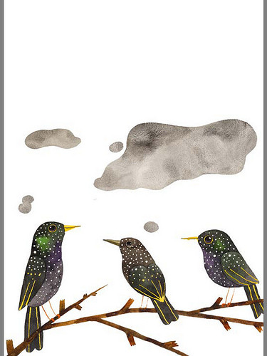 Matt Sewell starlings