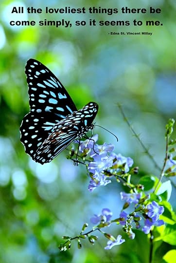 All the Loveliest Things