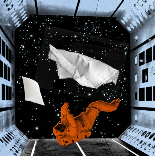 What_s It Like in Space? 4-- bookspoils