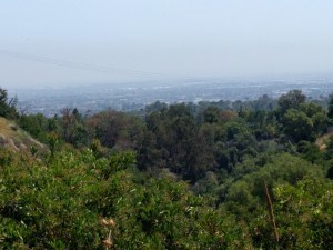 1-IMG_20170711_105703