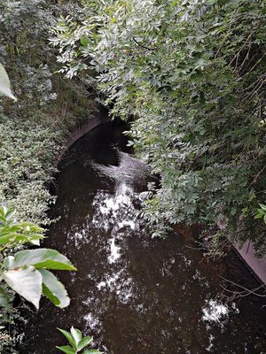 River Brent from middle bridge in Tokyngton recreation ground