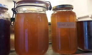 Soap nuts laundry liquid