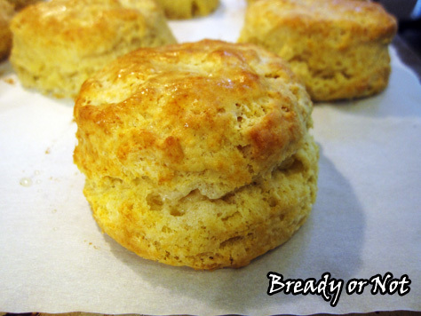 Buttermilk Biscuits