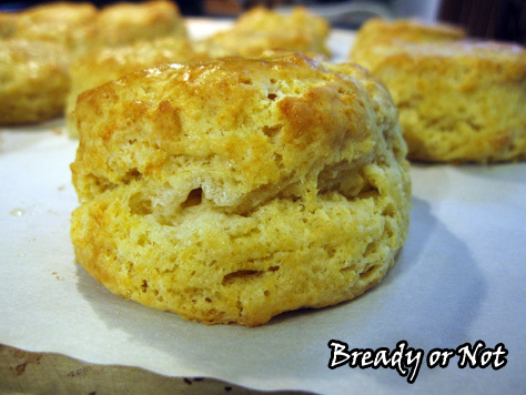 Buttermilk Biscuits