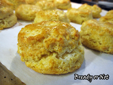 Buttermilk Biscuits