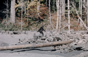 bigfoot