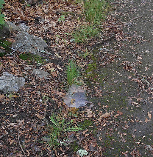 fairy handkerchief