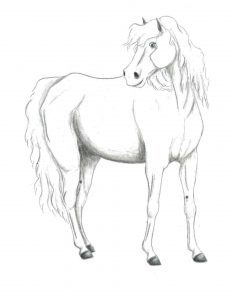 Esperanza: A Vihar és Szépség fiának Próféciája – második rész