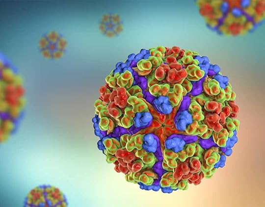 Chikungunya virus, illustration