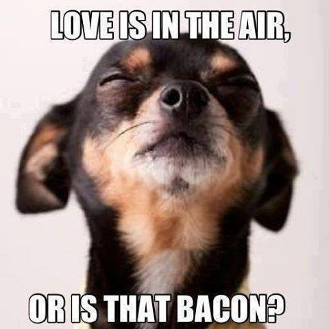 Image result for love meme