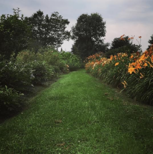 Screen Shot 2017-07-28 at 11.56.44 AM