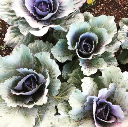 Screen Shot 2017-07-28 at 11.56.17 AM