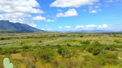 oaxaca country behind Martins