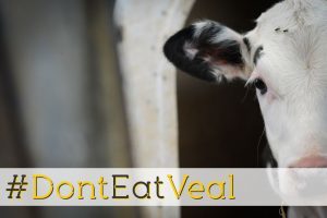 #DontEatVeal