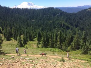 On our way down from Noble Knob in the Norse Peak Wilderness