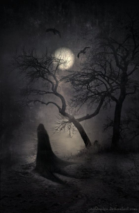 Wyldraven.dviantart 2