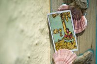 Your weekly Tarotscope with our psychic Sally 20 November