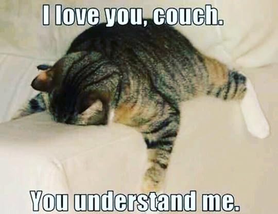 Image result for the invisible moth twitter