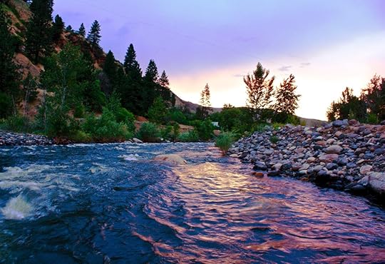 Image result for the invisible moth twitter