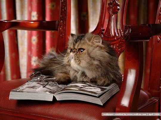 Image result for reading animals