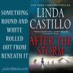 Excerpt from After the Storm