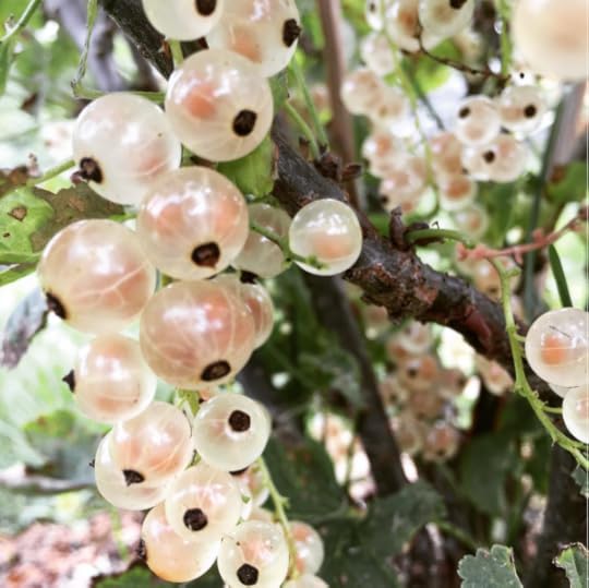 B. Social | Best of the Week