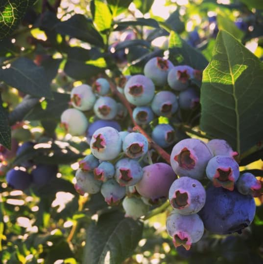 B. Social | Best of the Week