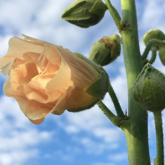 B. Social | Best of the Week