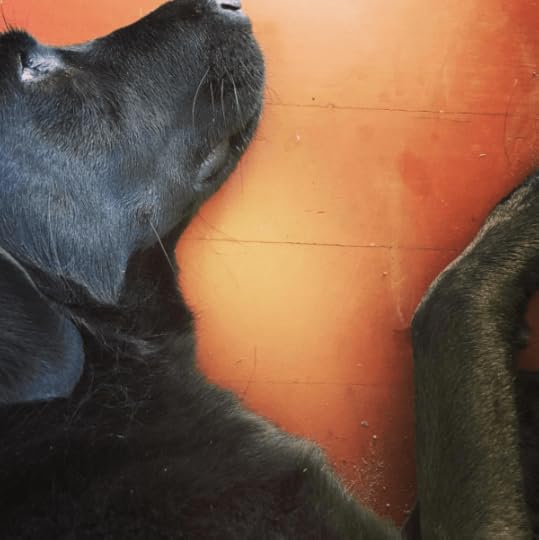 B. Social | Best of the Week