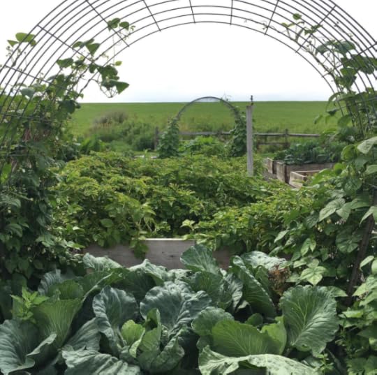 B. Social | Best of the Week