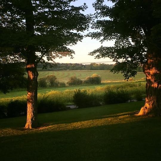 B. Social | Best of the Week