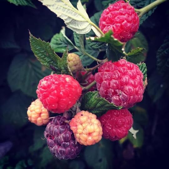 B. Social | Best of the Week